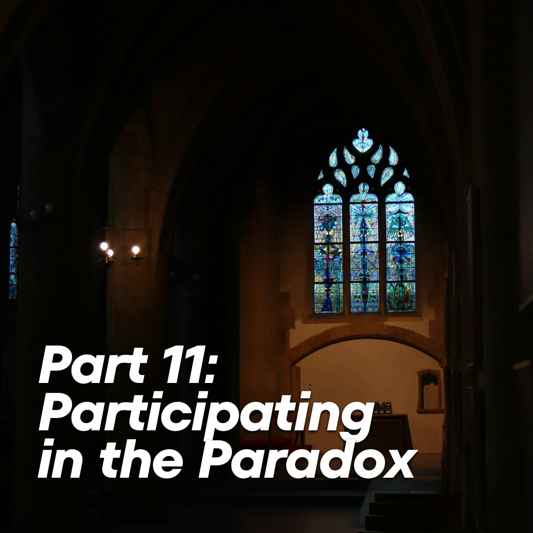 Part 11: Participating in the Paradox